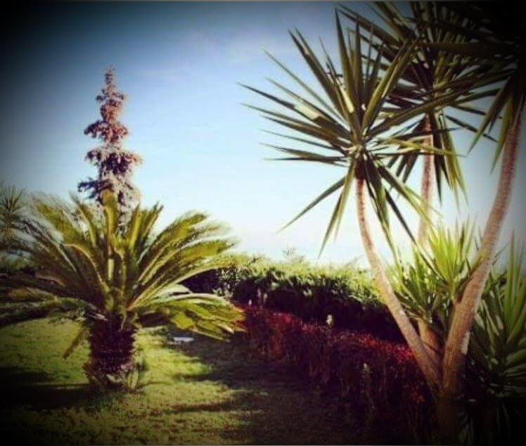 B&B Villa Floriana Tortoreto ภายนอก รูปภาพ